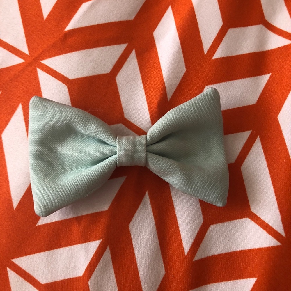 American Apparel Bow
